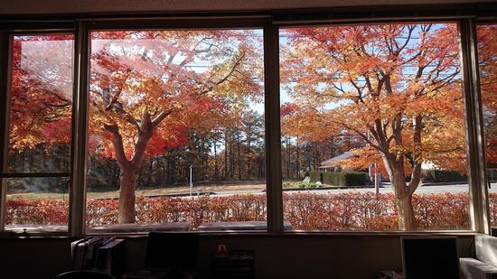 ASK信州工場事務棟の中からの写真です。わずかな期間だけですが、真っ赤な秋を愉しんでいます（国道141号線沿いにございますので皆さんもぜひ！）
